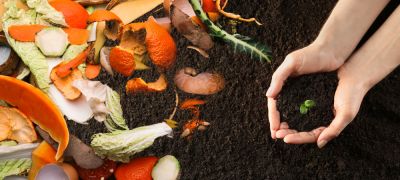 Compost Delivery - Compost Delivery And Pick Up Amesbury, Massachusetts